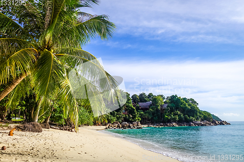 Image of Tropical beach in Koh Lipe, Thailand