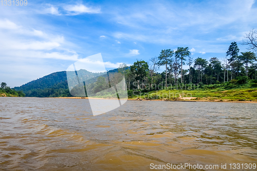 Image of River and jungle in Taman Negara national park, Malaysia