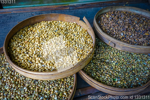 Image of Kopi Luwak coffe beans, Bali, Indonesia