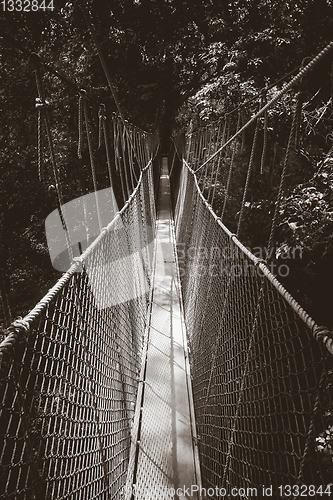 Image of Suspension bridge, Taman Negara national park, Malaysia