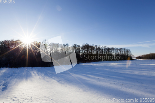 Image of Snow in winter