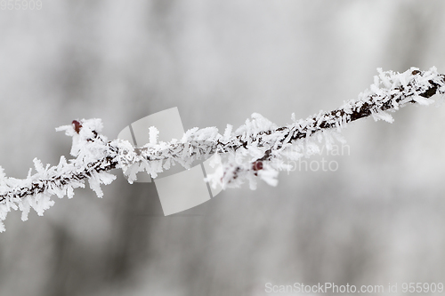 Image of Winter time