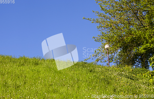 Image of White lamp
