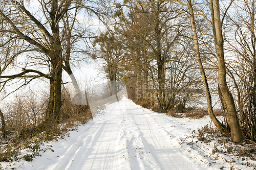 Image of Rural winter road