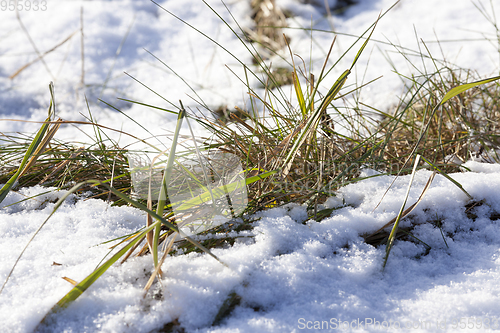 Image of After snowfall