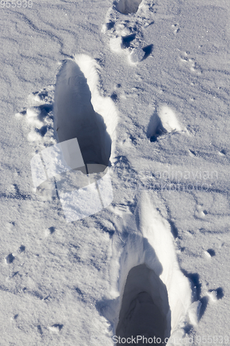 Image of Snow drifts in winter