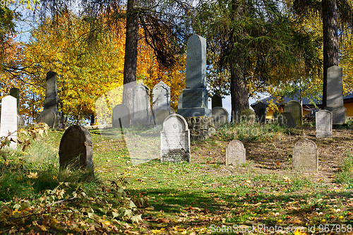 Image of forgotten and unkempt Jewish cemetery