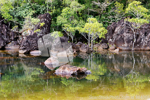 Image of Masoala National Park landscape, Madagascar