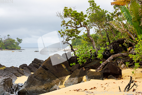 Image of Masoala National Park landscape, Madagascar