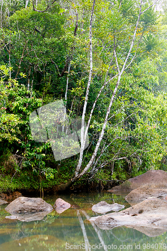 Image of Masoala National Park landscape, Madagascar