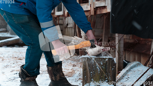 Image of goose head chopped off with an ax