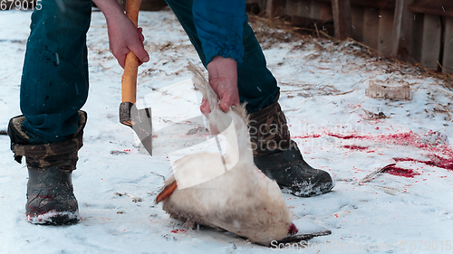 Image of Man cuts off the wings on the goose carcass winter