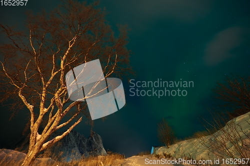 Image of Aurora borealis Green northern lights above mountains