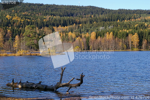 Image of Sognsvann in Oslo