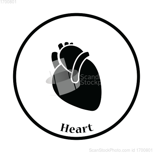Image of Human heart icon