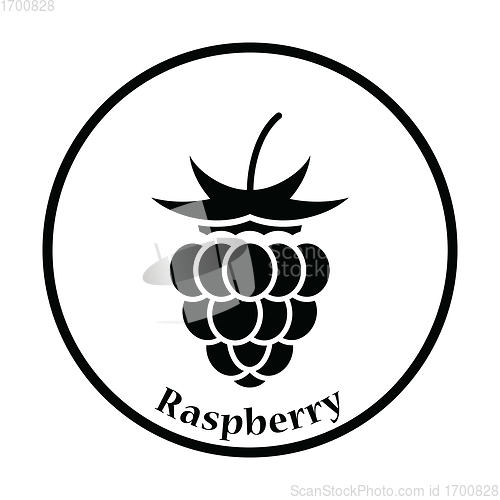 Image of Icon of Raspberry