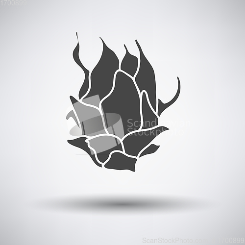 Image of Dragon fruit icon on gray background