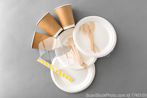 Image of disposable dishes of paper and wood