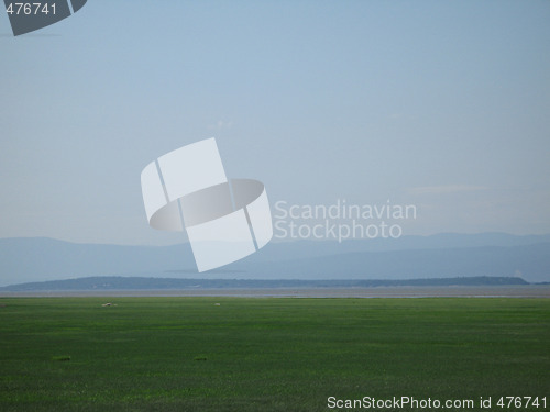 Image of green shore at low tides