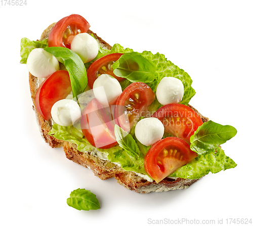 Image of slice of bread with tomato and mozzarella