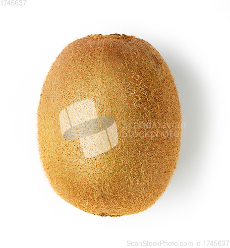 Image of fresh ripe kiwi