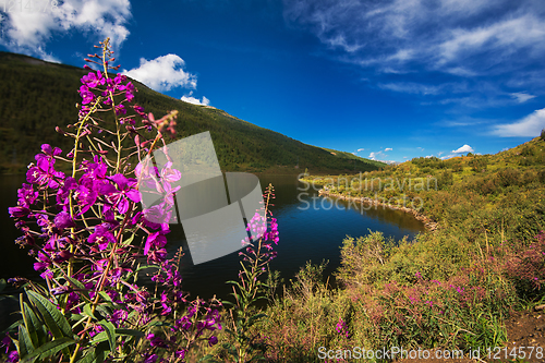 Image of Lake in the Altai Mountains