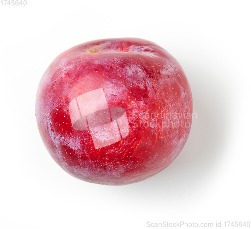 Image of fresh ripe red plum