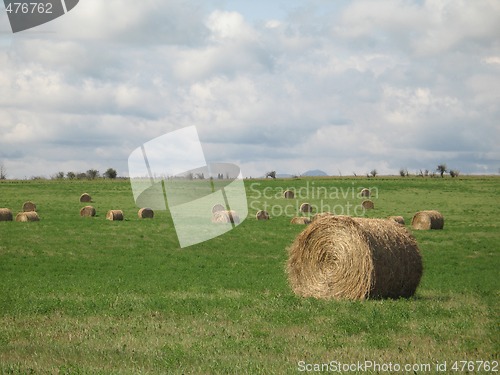 Image of bales of hay in a field