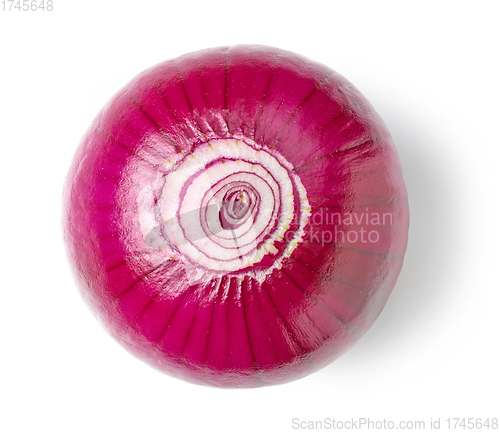 Image of fresh red peeled onion