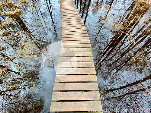 Image of wooden footbridge through the lake nature trail