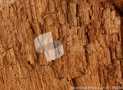 Image of old wood background