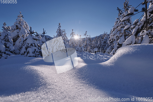 Image of winter sunrise with fresh snow covered forest and mountains