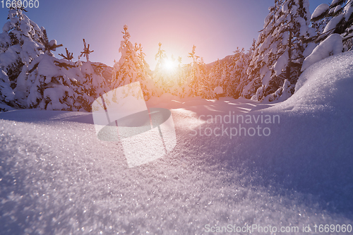 Image of winter sunrise with fresh snow covered forest and mountains