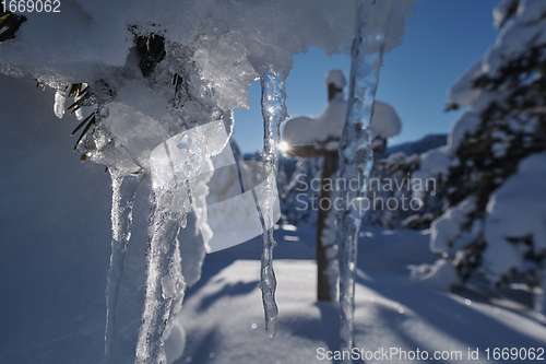 Image of wooden cross covered with fresh snow at beautiful fresh winter morning