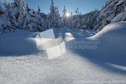 Image of winter sunrise with fresh snow covered forest and mountains