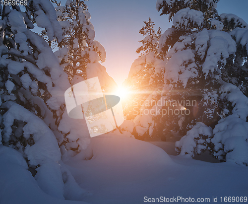 Image of winter sunrise with fresh snow covered forest and mountains