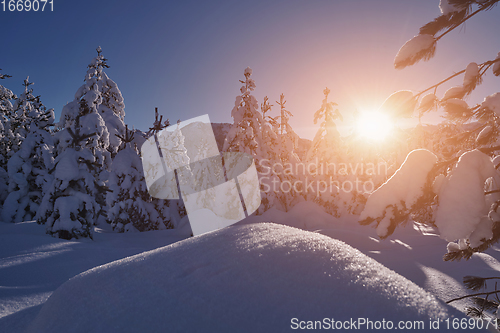 Image of winter sunrise with fresh snow covered forest and mountains