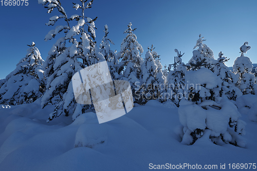 Image of winter sunrise with fresh snow covered forest and mountains