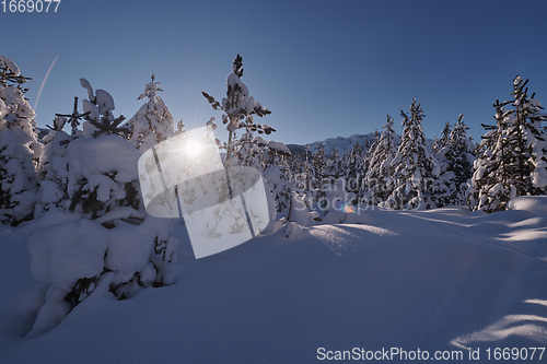 Image of winter sunrise with fresh snow covered forest and mountains