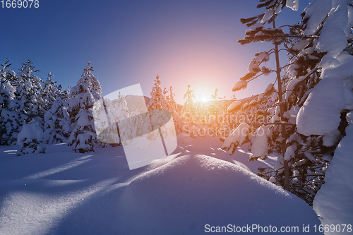 Image of winter sunrise with fresh snow covered forest and mountains