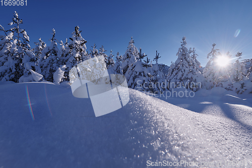 Image of winter sunrise with fresh snow covered forest and mountains