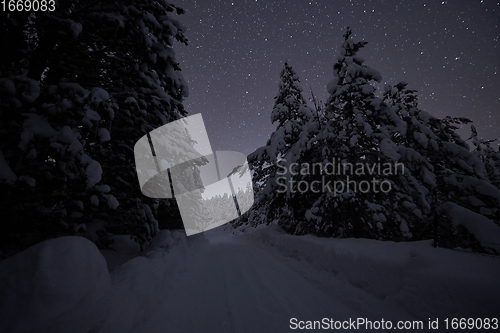 Image of winter night landscape nature forest