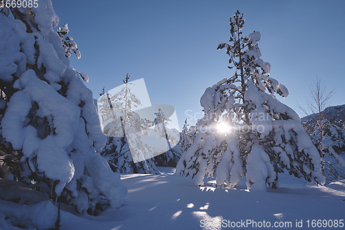 Image of winter sunrise with fresh snow covered forest and mountains