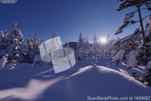 Image of winter sunrise with fresh snow covered forest and mountains