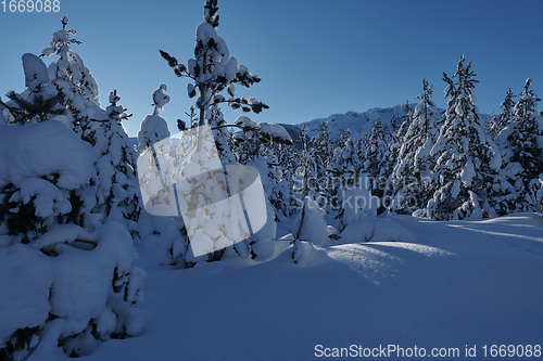 Image of winter sunrise with fresh snow covered forest and mountains