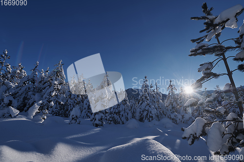 Image of winter sunrise with fresh snow covered forest and mountains