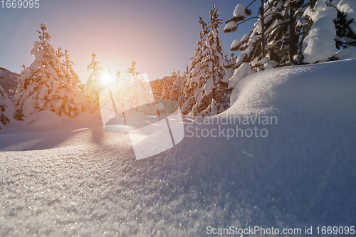 Image of winter sunrise with fresh snow covered forest and mountains