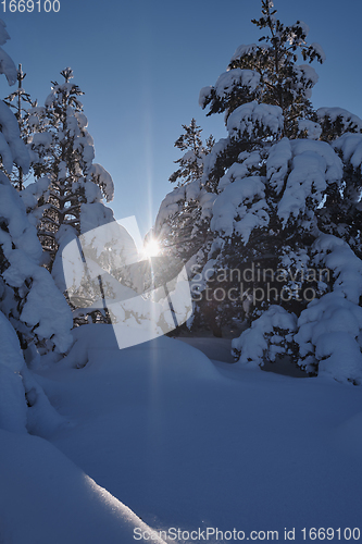 Image of winter sunrise with fresh snow covered forest and mountains