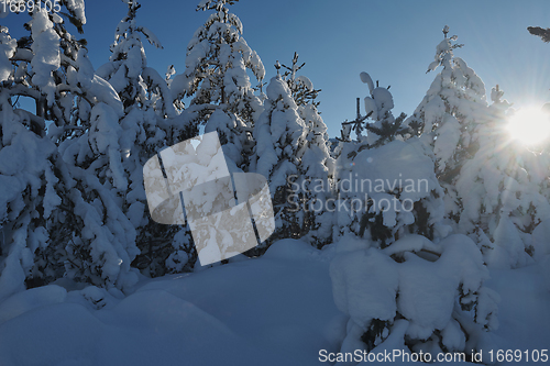 Image of winter sunrise with fresh snow covered forest and mountains