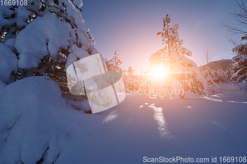 Image of winter sunrise with fresh snow covered forest and mountains